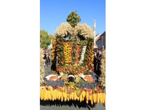 Südsteirisches Herbstfest in der Weinstadt Leibnitz